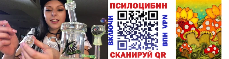 KRAKEN как зайти Кемерово Галлюциногенные грибы прущие грибы закладка
